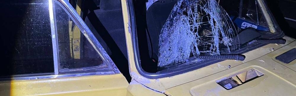 Житомирська поліція встановлює особу пішохода, який загинув у результаті ДТП