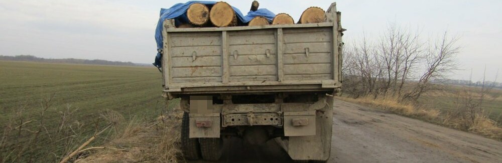 У Бердичівському районі патрульні затримали вантажівку з необлікованим лісом