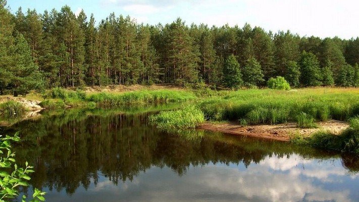 Підсумки минулого року: Житомирщина вражає і надихає своїм природно-заповідним фондом