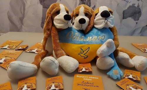 Карітас-Житомир запросив хібукі-терапевтів для допомоги дітям