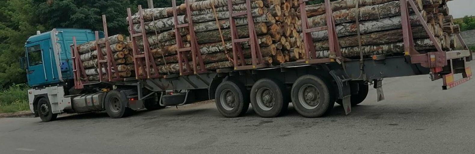 За добу на автодорогах Житомирщини виявили три випадки порушення правил перевезення лісопродукції