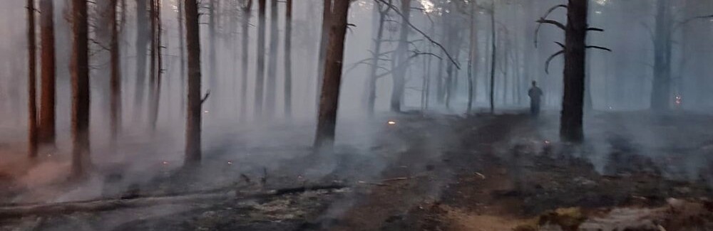 В лісовому масиві на Житомирщині автомобіль лісової охорони з двома працівниками наїхав на міну