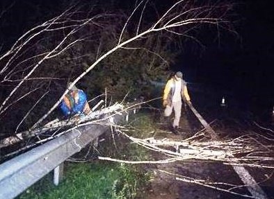 На Житомирщині буревій наробив лиха