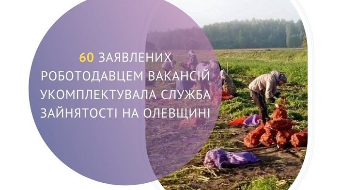 60 заявлених роботодавцем вакансій укомплектувала служба зайнятості Олевщини