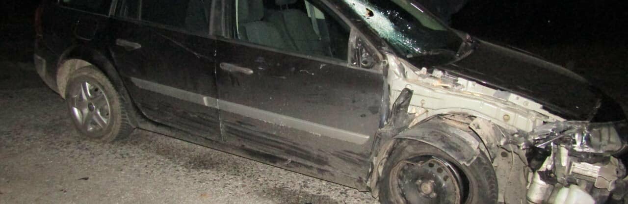 На Житомирщині в ДТП травмувалася пенсіонерка
