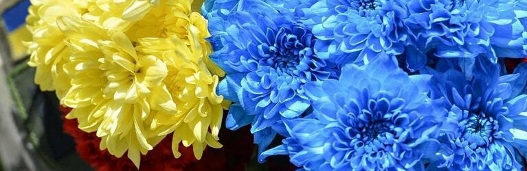 Герої повернулись на щиті: Житомир прощається із Захисниками