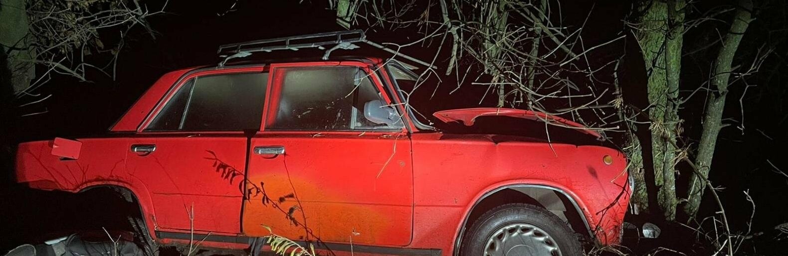 На Житомирщині в ДТП травмувалися пасажири ВАЗ
