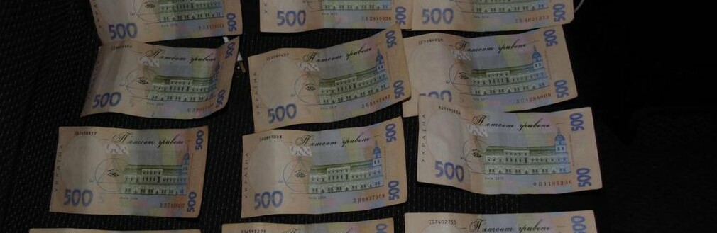 На Житомирщині водій невдало спробував відкупитися від поліцейських