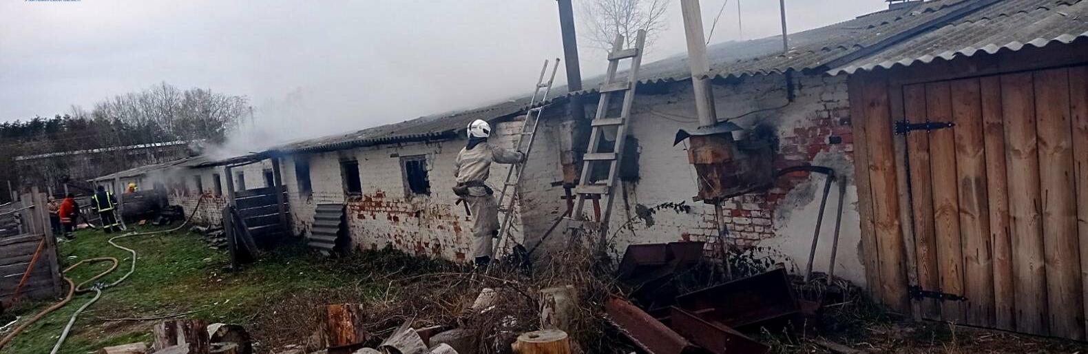 За добу рятувальники Житомирщини ліквідували чотири пожежі