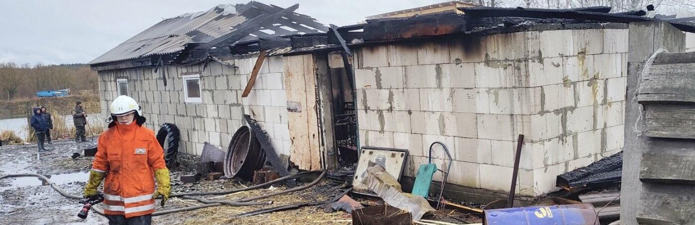 У селах на Житомирщині горіли хлів із свинями та господарча будівля
