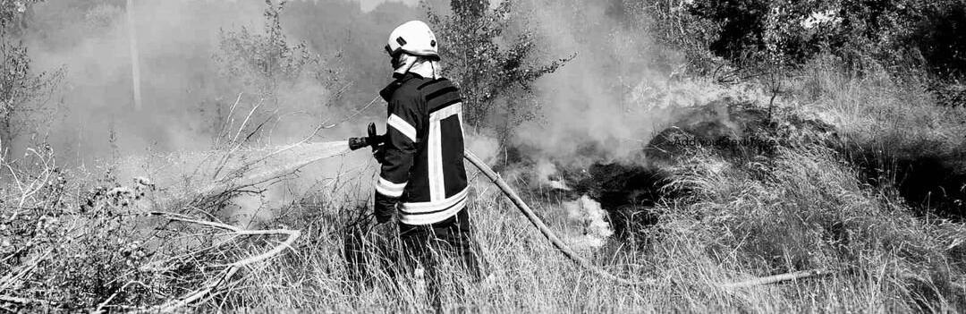 Вогонь поширився на площі 1,5 га: на Житомирщині горіла суха трава