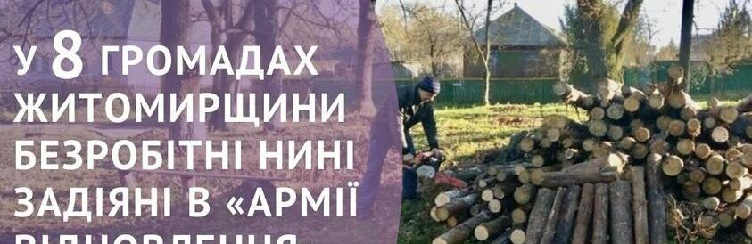 У 8 громадах Житомирщини безробітні нині задіяні в «Армії відновлення»