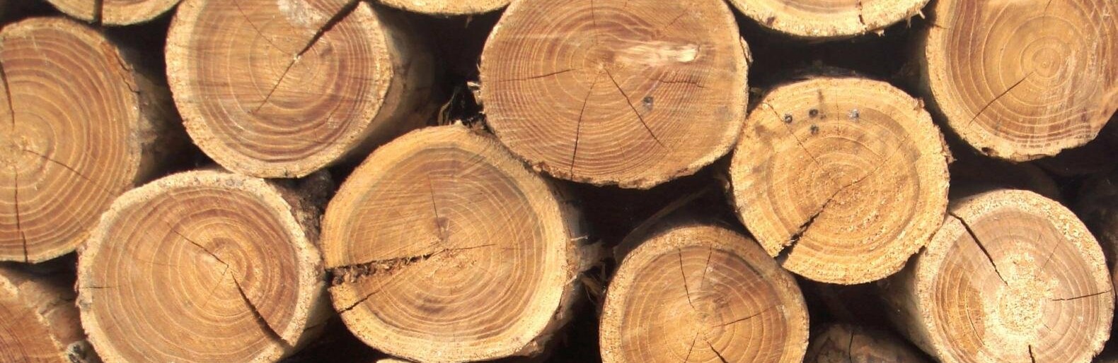Любарські поліцейські перевіряють законність перевезення лісопродукції жителем Хмельниччини