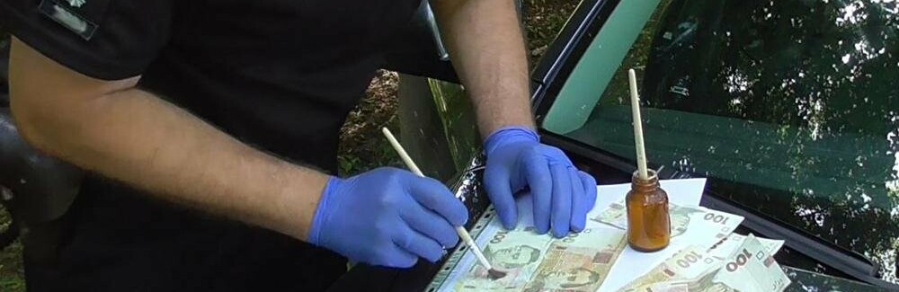 На Житомирщині поліцейські затримали торговця боєприпасами
