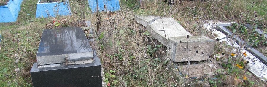 На Житомирщині затримали причетного до пошкодження пам’ятників на цвинтарі