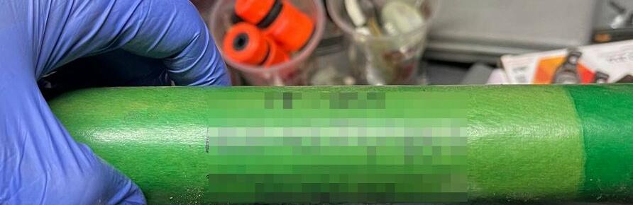 Житомирські поліцейські вилучили боєприпаси та наркотики з обійстя містянина