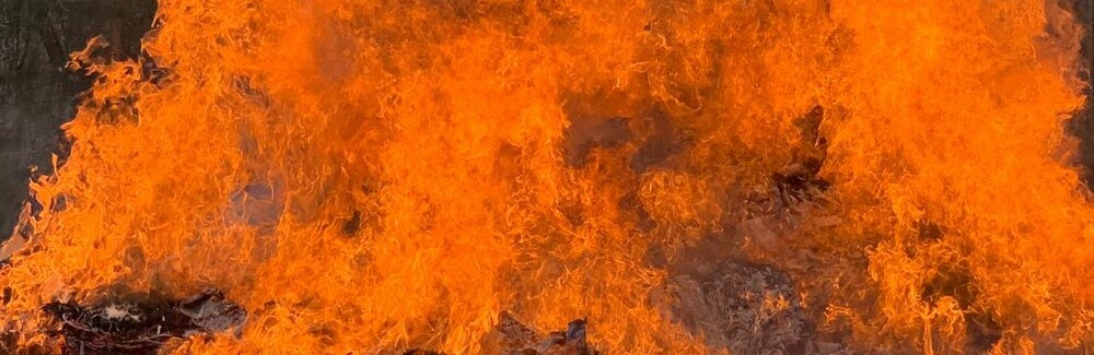На Житомирщині поліцейські знищили наркотиків на понад 2 млн гривень