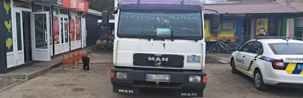 На Житомирщині пенсіонерка потрапила під колеса вантажівки