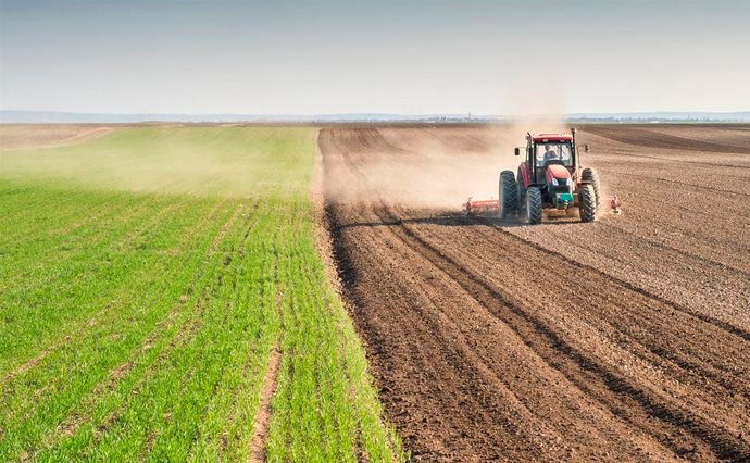 У Житомирській області продовжується посів зернових та зернобобових культур