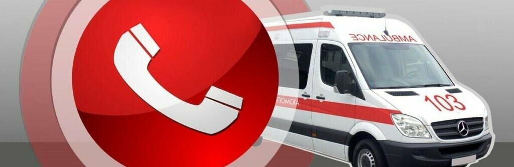 Мовою цифр: У 2022 році у Житомирській області на лінію 103 надійшло майже 147 тисяч звернень