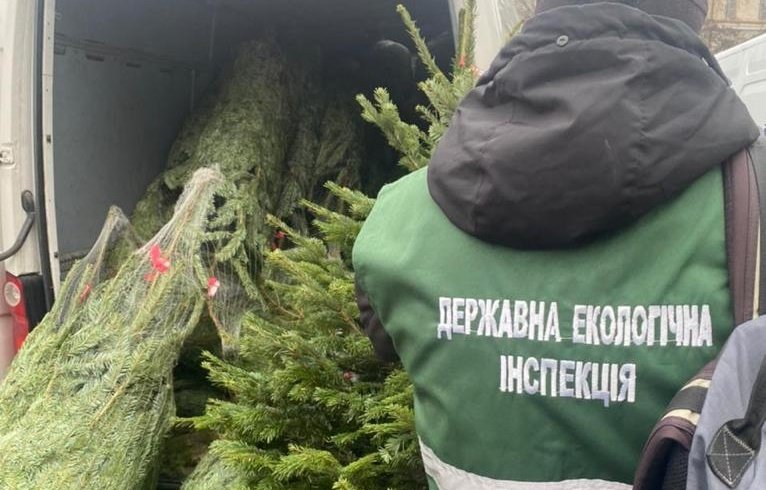 Житомирщина: за незаконну вирубку і продаж ялинок екологи оштрафували «браконьєрів» на 6 тисяч гривень