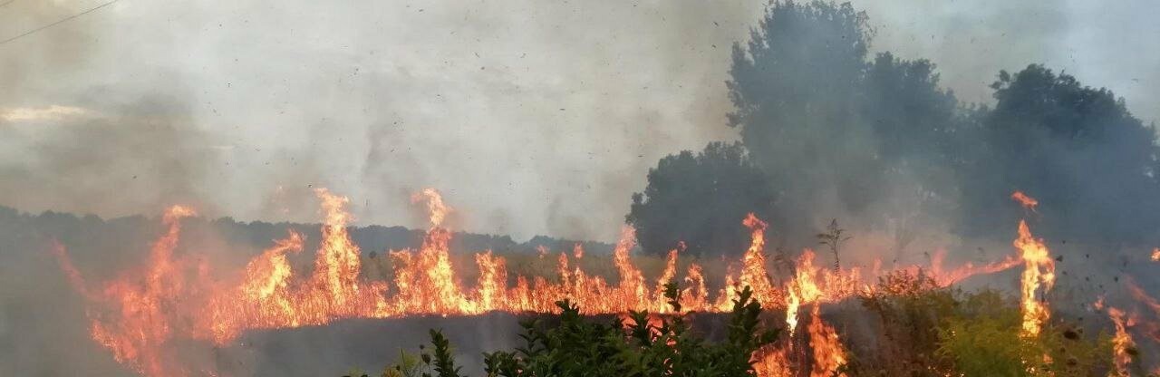 Вогнем пройдено 16 га території: минулої доби на Житомирщині виникло 11 загорянь сухостою