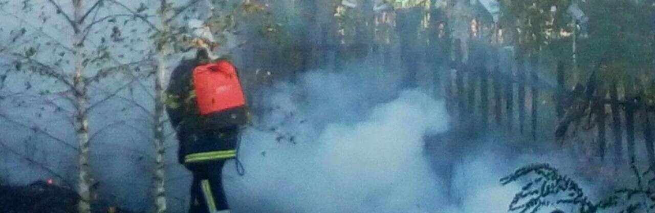 Упродовж минулої доби рятувальники Житомирщини загасили 17 пожеж, 7 з яких – в екосистемах