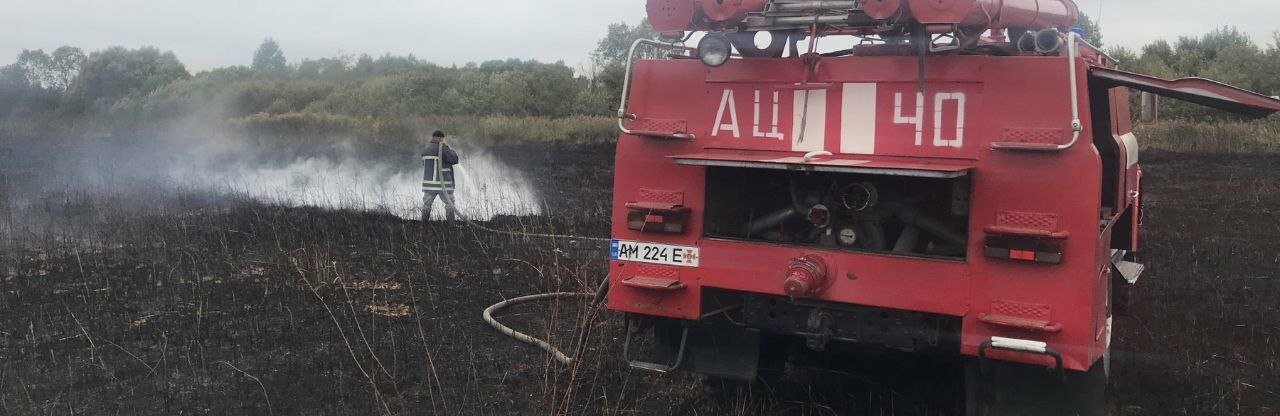 Вогнем пройдено 22 га території: На Житомирщині горіла суха рослинність та чагарники