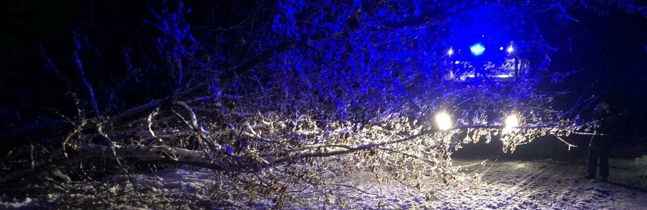 За минулу добу рятувальники Житомирщини 12 разів залучалися до надання допомоги населенню у нестандартних ситуаціях