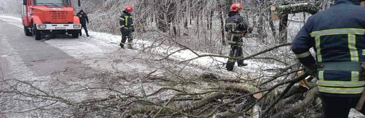 Рятувальники Житомирщини надають допомогу населенню, яке потерпає від проявів стихії