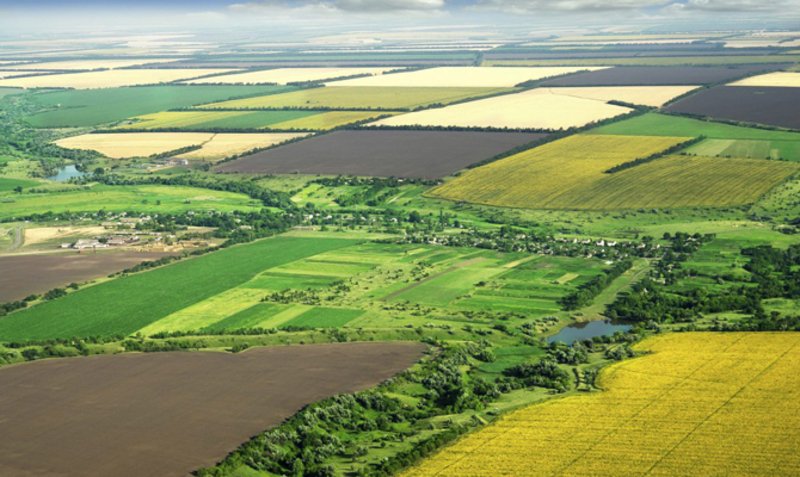 Житомирські аграрії можуть зареєструвати заявку у Державному аграрному реєстрі на безкоштовне мінеральне добриво за програмою USAID
