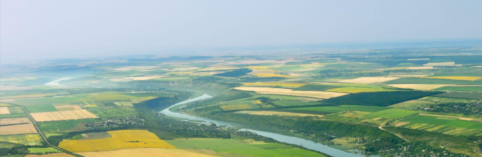 Аграрії Житомирщини за 2022 рік зібрали більше 2000 тисяч тонн зернових та зернобобових культур
