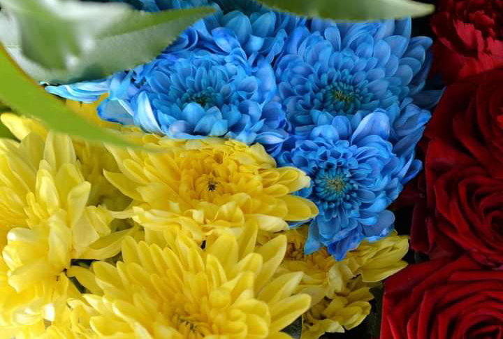 Житомир попрощався: На щиті повернувся Герой