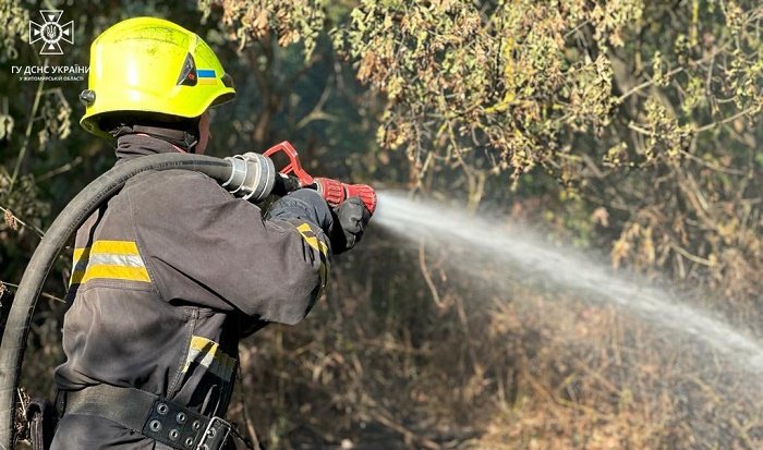 Упродовж минулої доби вогнеборці Житомирщини ліквідували 12 пожеж сухої рослинності на загальній площі понад 12 га