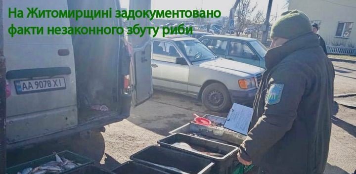 В Андрушівці та Звягелі екологи виявили факти незаконного збуту риби