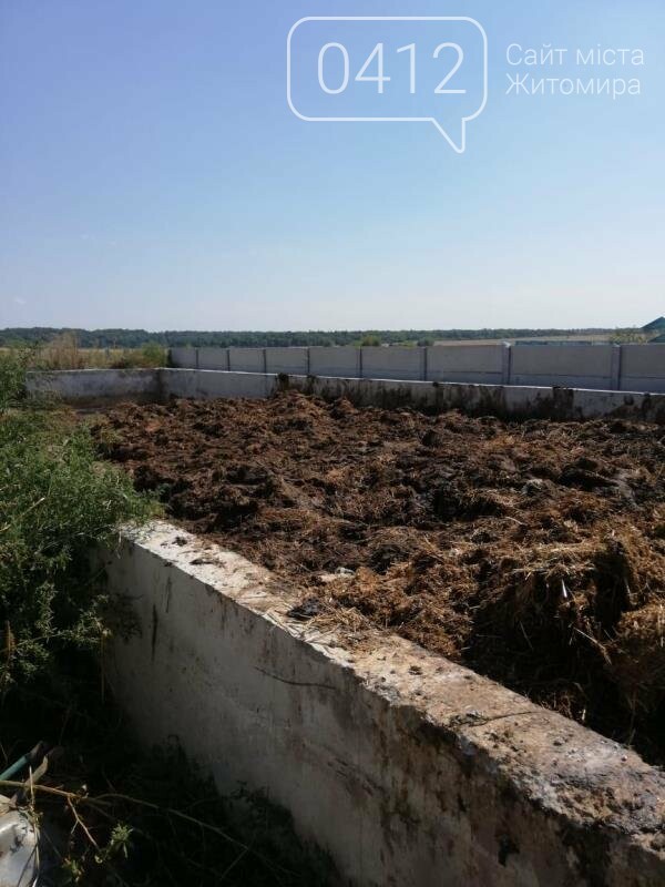 Суд припинив діяльність норкової ферми на Житомирщині, де з..., фото-2 Суд припинив діяльність норкової ферми на Житомирщині, де знущалися над тваринами, фото-2