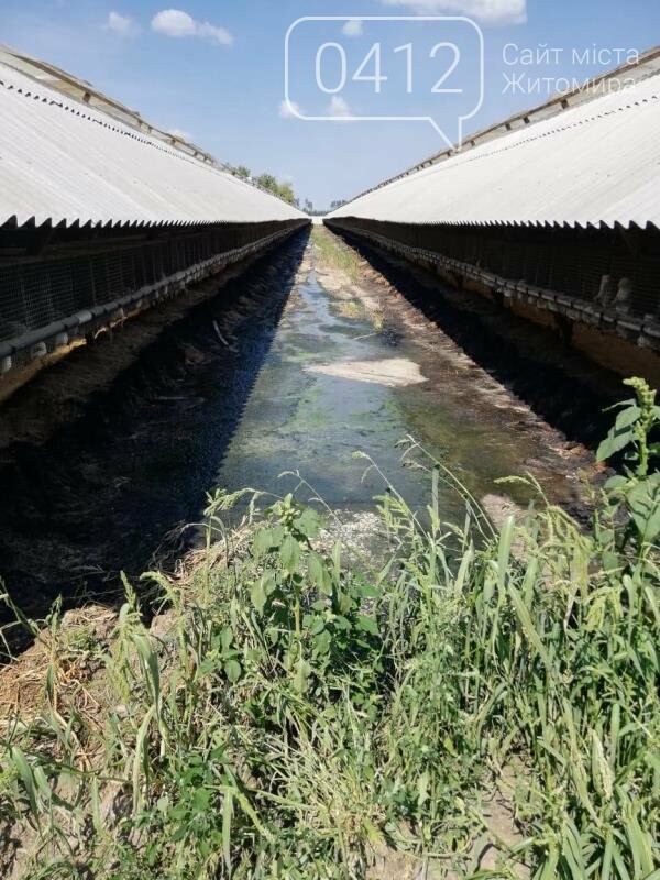 Суд припинив діяльність норкової ферми на Житомирщині, де з..., фото-1 Суд припинив діяльність норкової ферми на Житомирщині, де знущалися над тваринами, фото-1