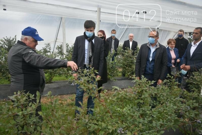 У Житомирській області фермер висадив 450 га лохини. ФОТО, фото-2 У Житомирській області фермер висадив 450 га лохини. ФОТО, фото-2