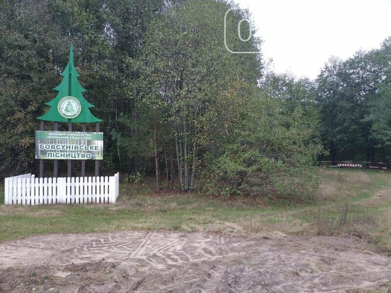 Лісові насадження, криничка зі смачною джерельною водою: ре..., фото-3 Лісові насадження, криничка зі смачною джерельною водою: рекреаційна зона на березі річки Жерев, фото-3
