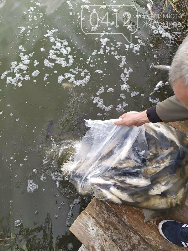На Житомирщині у водойму поблизу села вселили 2,4 тис молод..., фото-1 На Житомирщині у водойму поблизу села вселили 2,4 тис молодої риби. ФОТО, фото-1