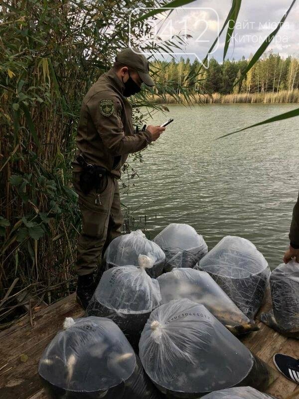 На Житомирщині у водойму поблизу села вселили 2,4 тис молод..., фото-5 На Житомирщині у водойму поблизу села вселили 2,4 тис молодої риби. ФОТО, фото-5