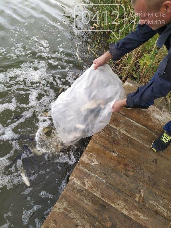 На Житомирщині у водойму поблизу села вселили 2,4 тис молод..., фото-6 На Житомирщині у водойму поблизу села вселили 2,4 тис молодої риби. ФОТО, фото-6