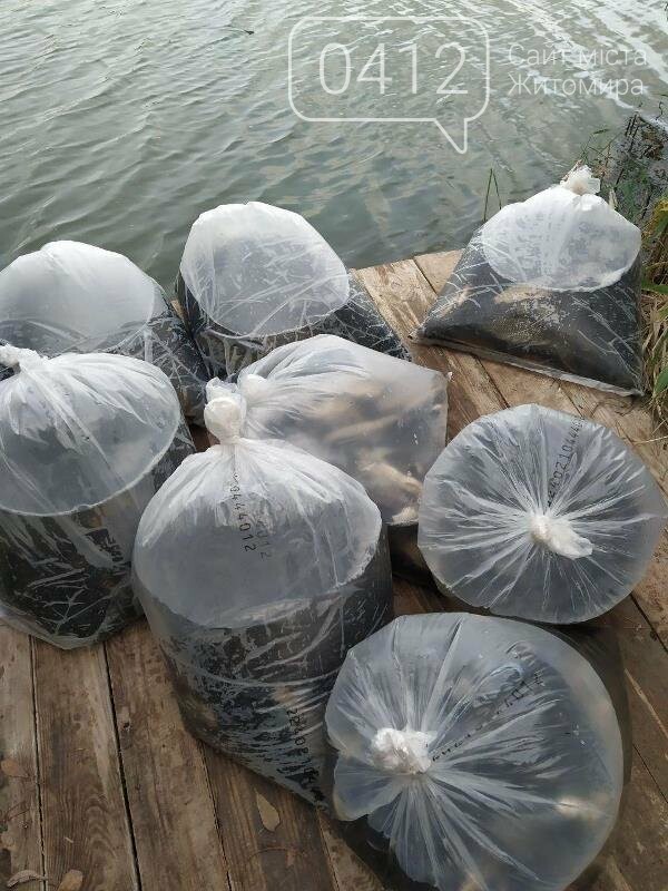 На Житомирщині у водойму поблизу села вселили 2,4 тис молод..., фото-8 На Житомирщині у водойму поблизу села вселили 2,4 тис молодої риби. ФОТО, фото-8