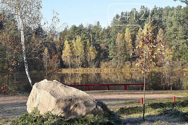 В Ігнатпільському лісництві оновлюється пункт відпочинку, фото-4 В Ігнатпільському лісництві оновлюється пункт відпочинку, фото-4