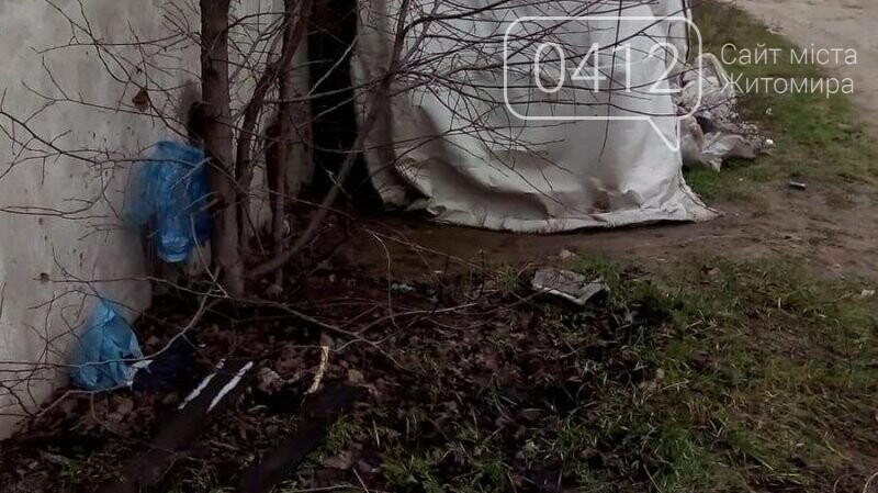 У Житомирській області на території гаражного кооперативу з..., фото-2 У Житомирській області на території гаражного кооперативу застрелили декількох псів, фото-2
