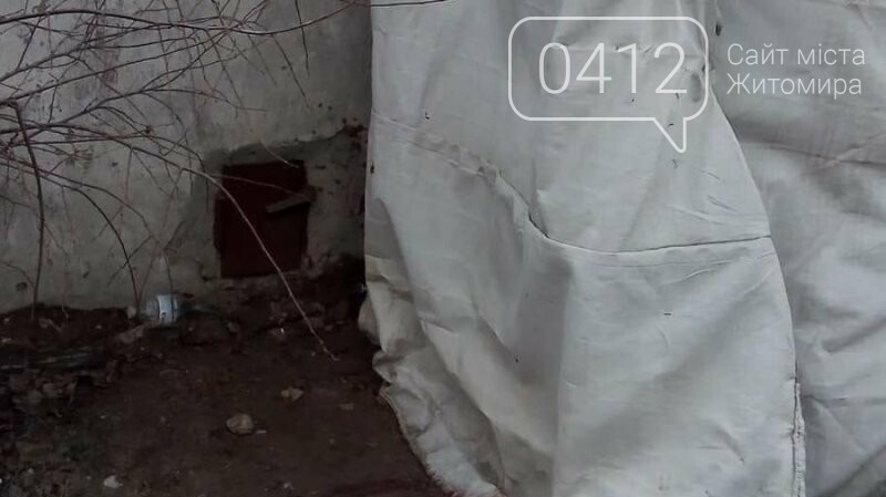 У Житомирській області на території гаражного кооперативу з..., фото-3 У Житомирській області на території гаражного кооперативу застрелили декількох псів, фото-3