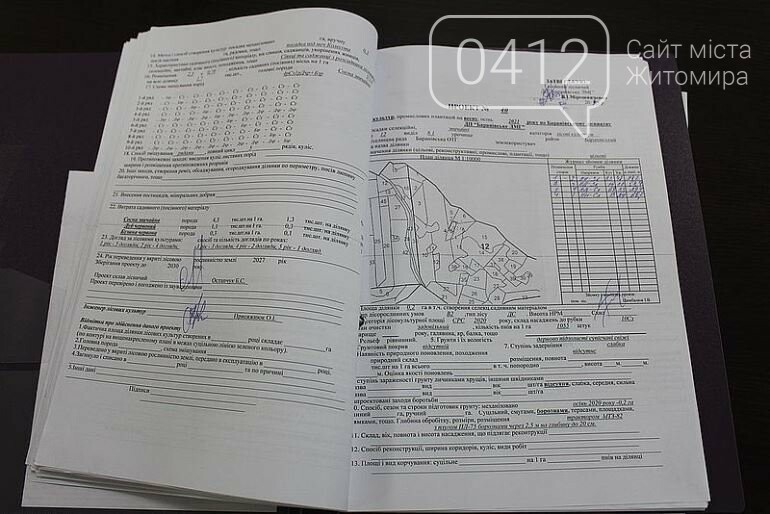 Житомирщина: в управлінні лісового господарства розпочали захист проектів лісових культур, фото-1