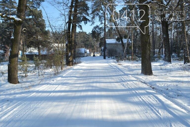 Казкові засніжені краєвиди: Фотопрогулянка мальовничим селищем поблизу Житомира. ФОТОРЕПОРТАЖ, фото-12