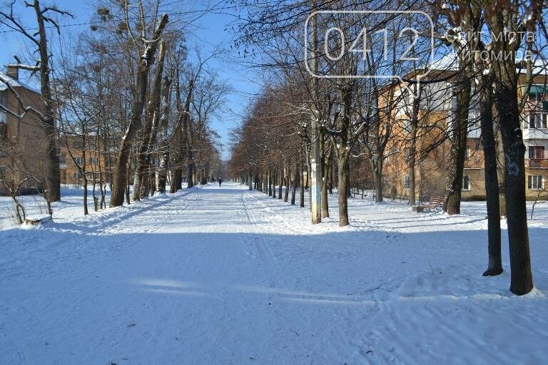 Казкові засніжені краєвиди: Фотопрогулянка мальовничим селищем поблизу Житомира. ФОТОРЕПОРТАЖ, фото-16