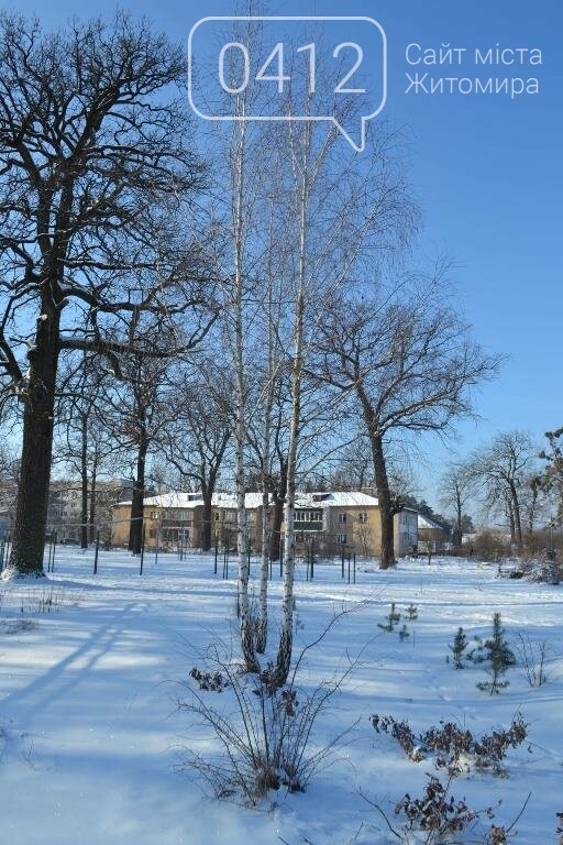 Казкові засніжені краєвиди: Фотопрогулянка мальовничим селищем поблизу Житомира. ФОТОРЕПОРТАЖ, фото-17